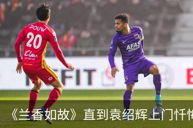 《兰香如故》直到袁绍辉上门忏悔，林锦岐才知，许兰香还有隐瞒