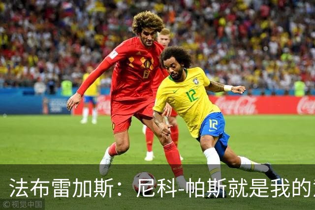 法布雷加斯：尼科-帕斯就是我的意甲冠军