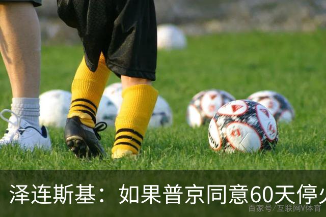 泽连斯基：如果普京同意60天停火，乌克兰将举行选举